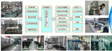 新生攻略 原来我学的专业是这样的